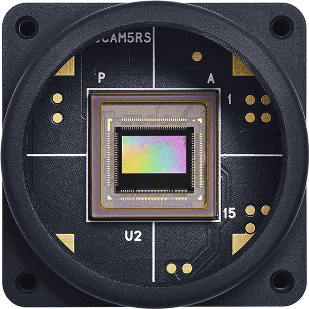EVK4