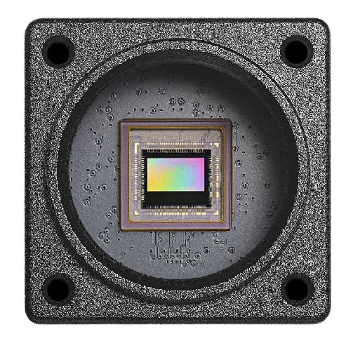 EVK5-HD