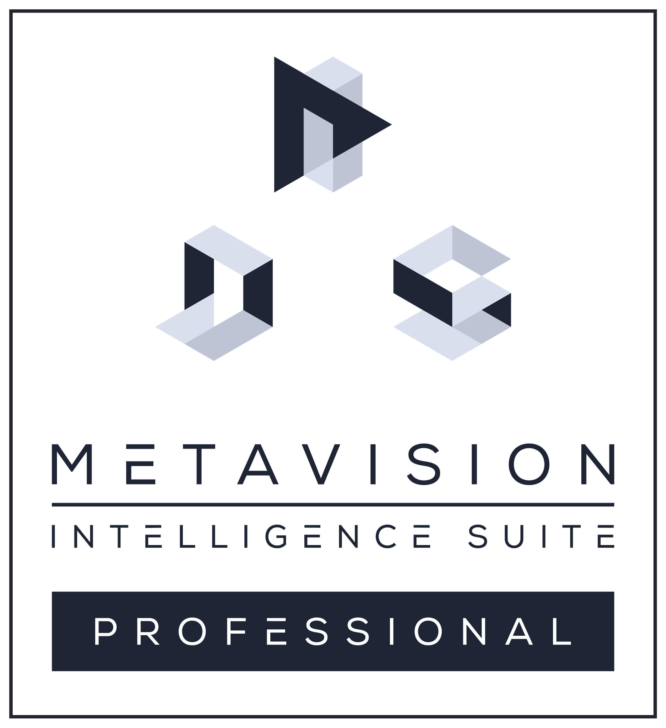 Metavision_Professional Icon